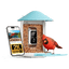 Birdfy Feeder - AI-Powered Smart Bird Feeder with Camera Non-Solar AI by Subscription Birdfy Feeder Birdfy