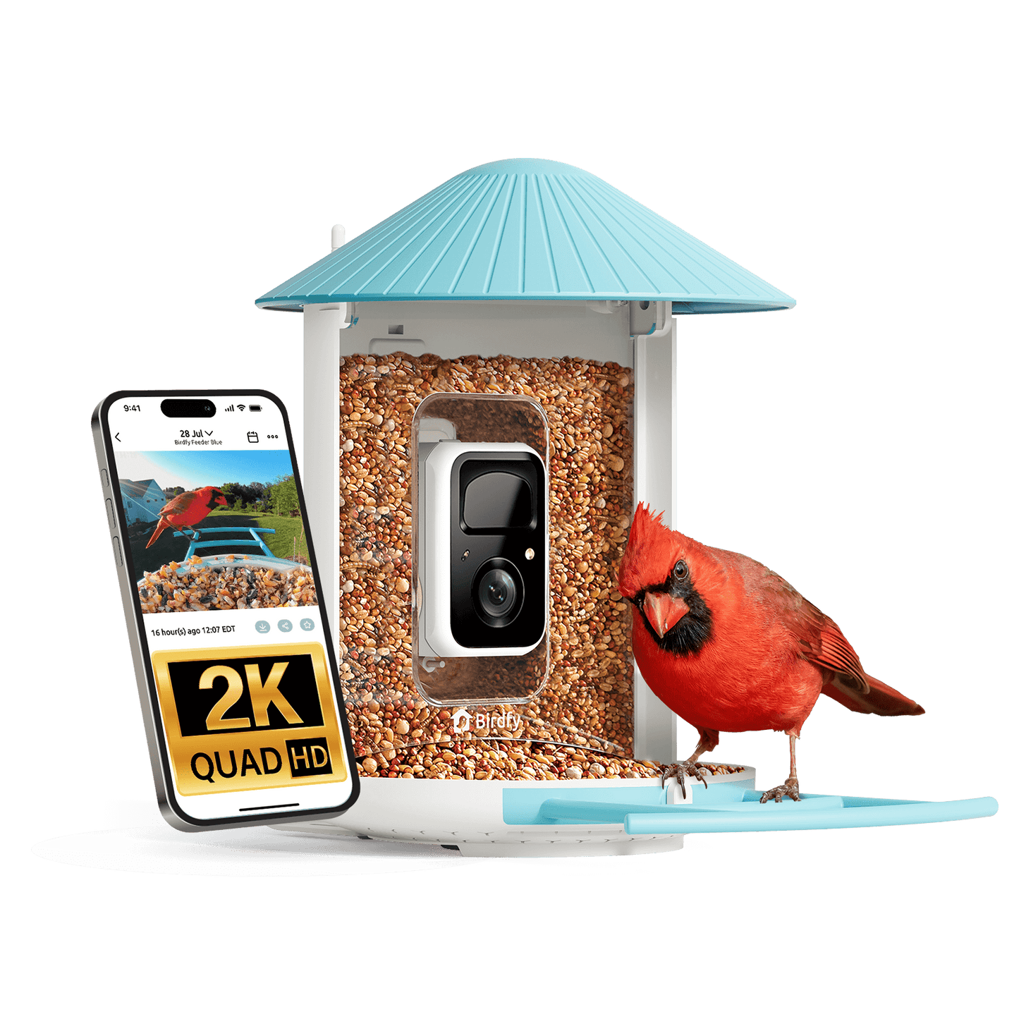 Birdfy Feeder - AI-Powered Smart Bird Feeder with Camera Non-Solar AI by Subscription Birdfy Feeder Birdfy