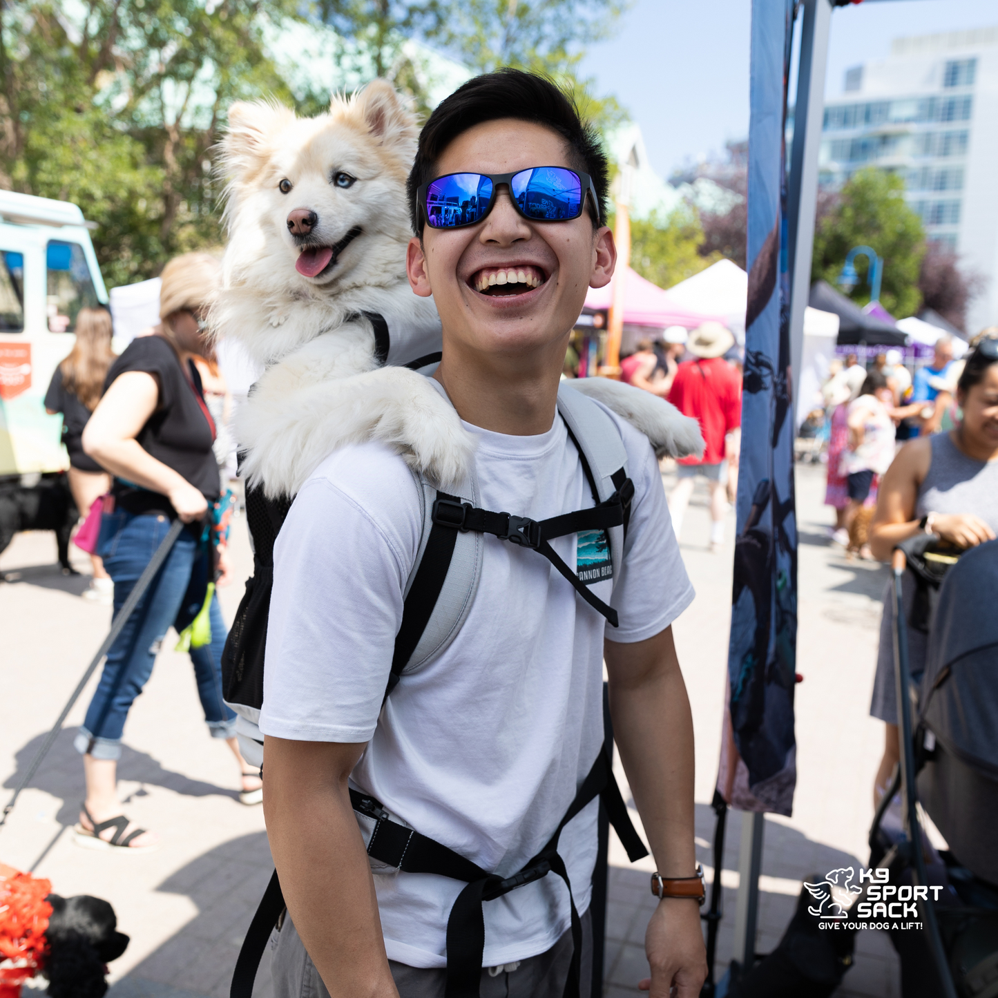 Knavigate | Advanced Dog Carrier with Internal Frame & Hip Belt Carriers K9 Sport Sack