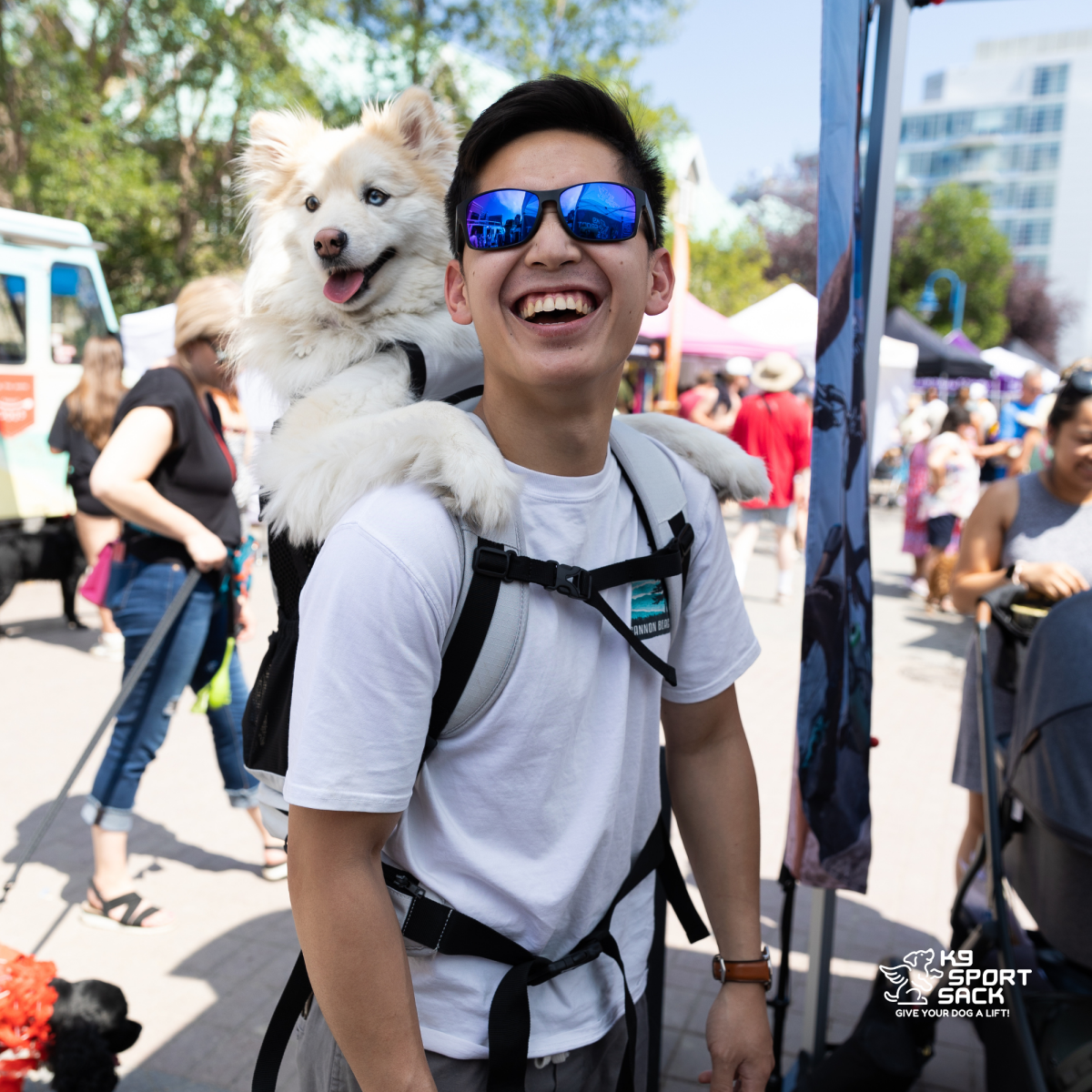 Knavigate | Advanced Dog Carrier with Internal Frame & Hip Belt Carriers K9 Sport Sack