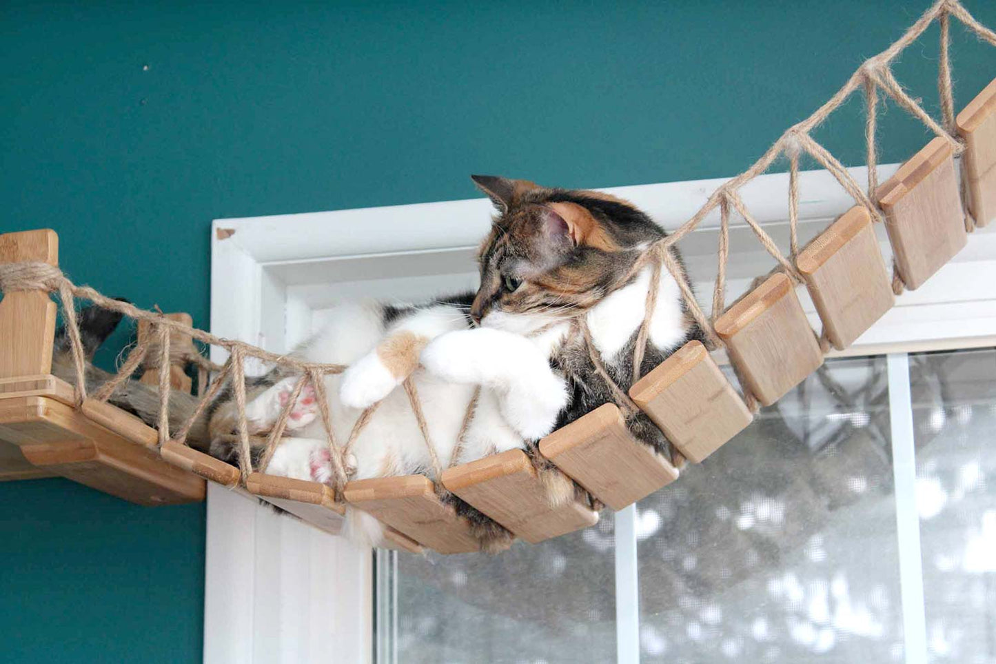 Cat Bridge for Wall Cat Bridge Catastrophic Creations