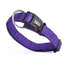 Comfort Microfiber Flat Dog Collar Purple Dog Collar Dogline
