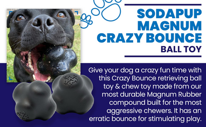 MAGNUM CRAZY BOUNCE Ultra Durable Rubber Chew & Retrieving Toy - SodaPUP