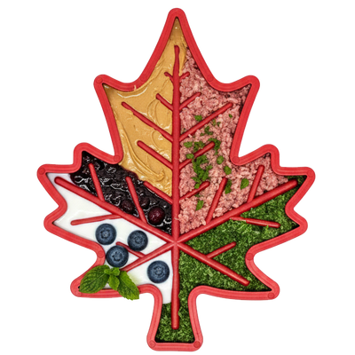 Canadian Maple Leaf Nylon Dog Chew Toy - Indestructible & USA Made Nylon Dog Toys SodaPup/True Dogs, LLC