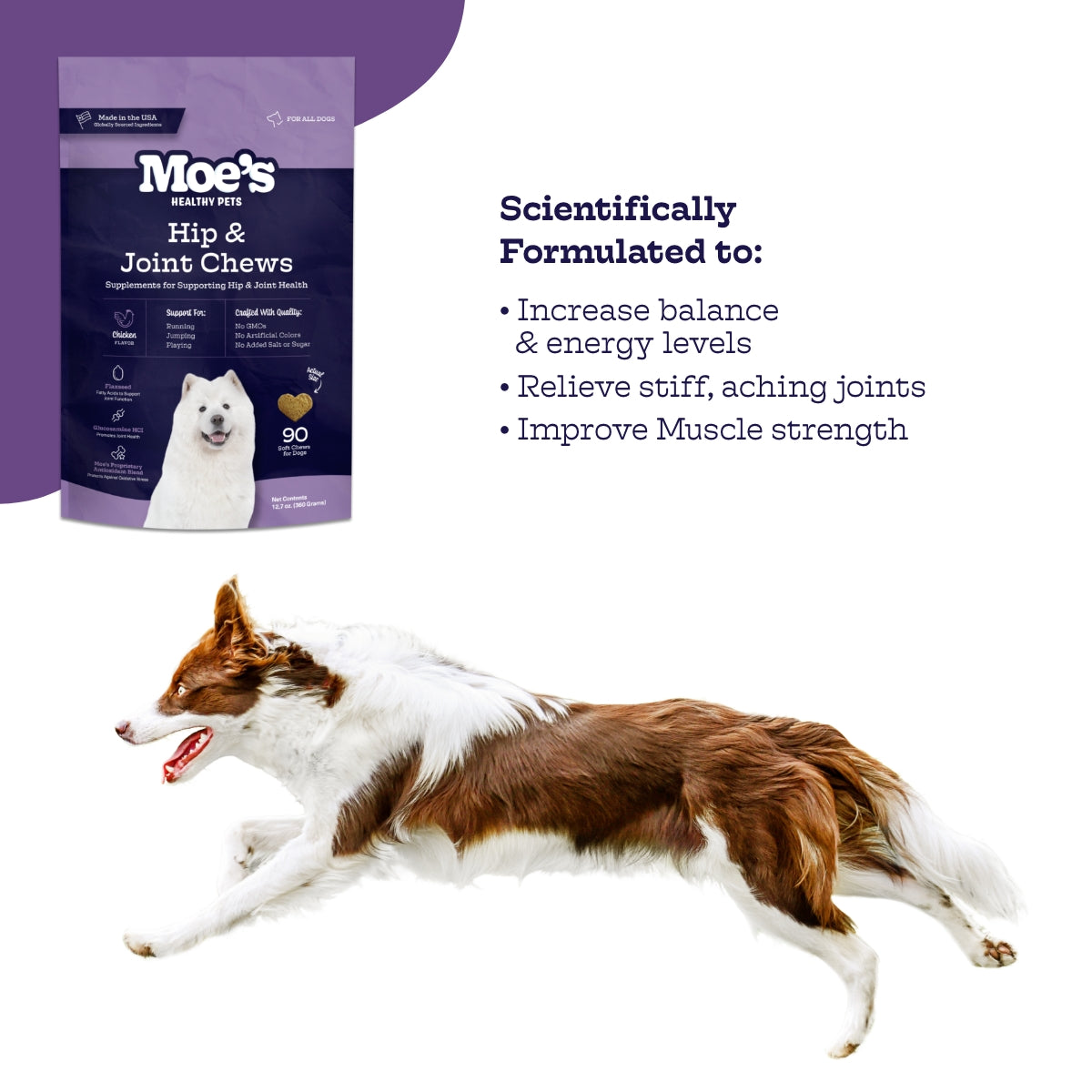 Hip & Joint Chews Moe's Healthy Pets