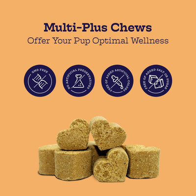 Multi-Plus Chews Moe's Healthy Pets