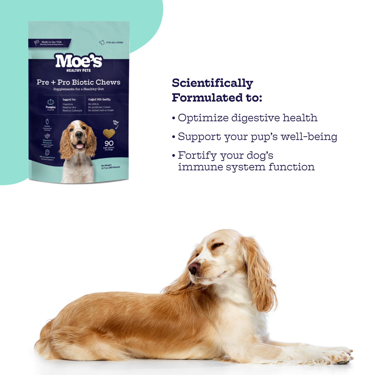 Pre + Pro Biotic Chews Moe's Healthy Pets