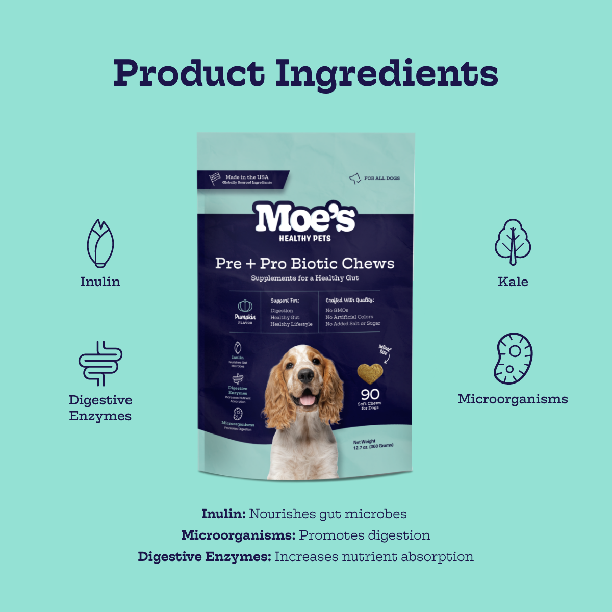 Pre + Pro Biotic Chews Moe's Healthy Pets