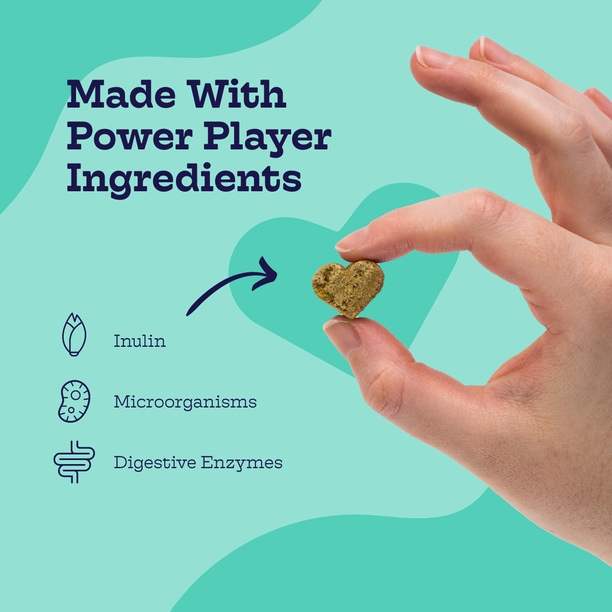 Pre + Pro Biotic Chews Moe's Healthy Pets