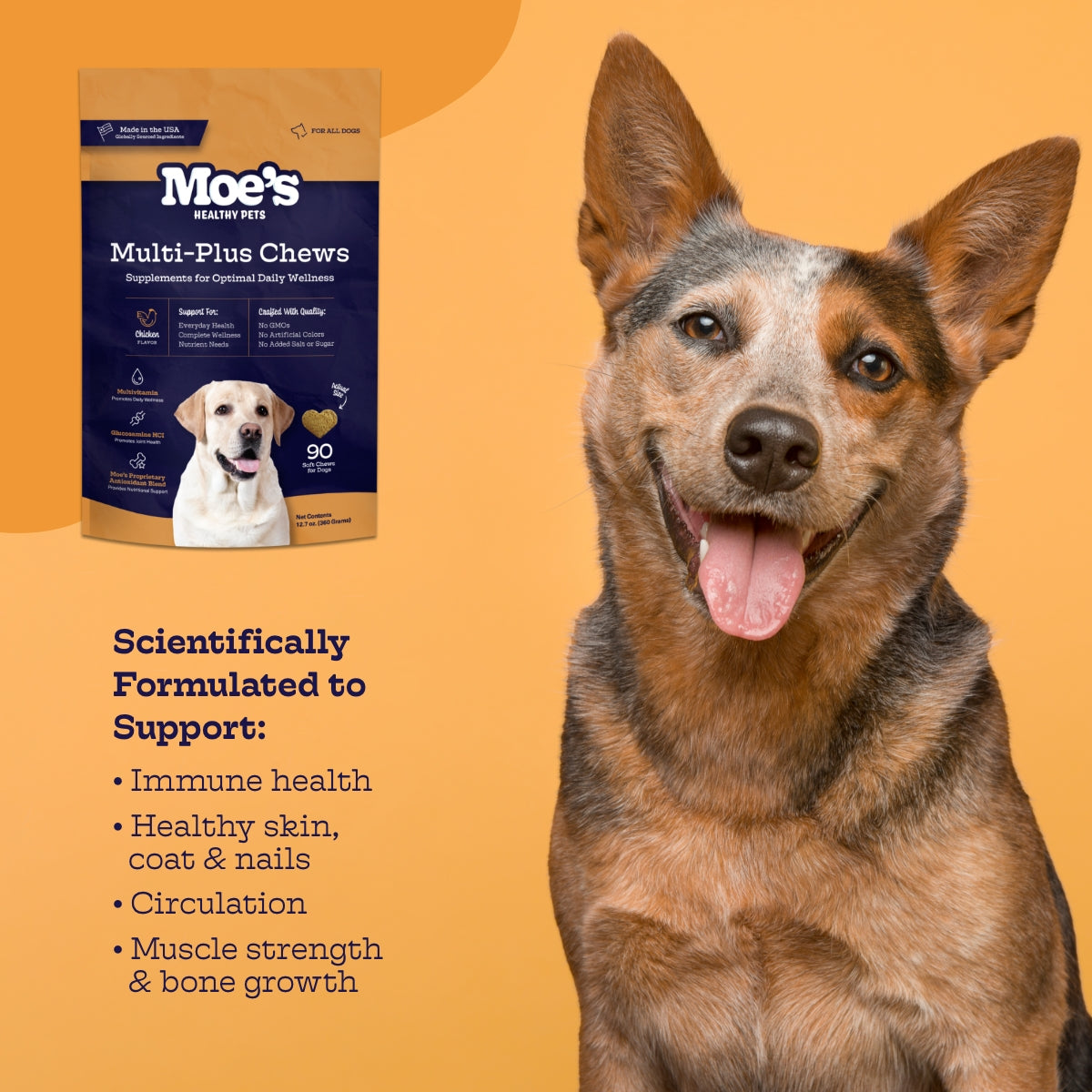 Multi-Plus Chews Moe's Healthy Pets