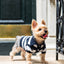 ‘Gene’ Cashmere blend Polo Dog Sweaters BESPOKE PAWS