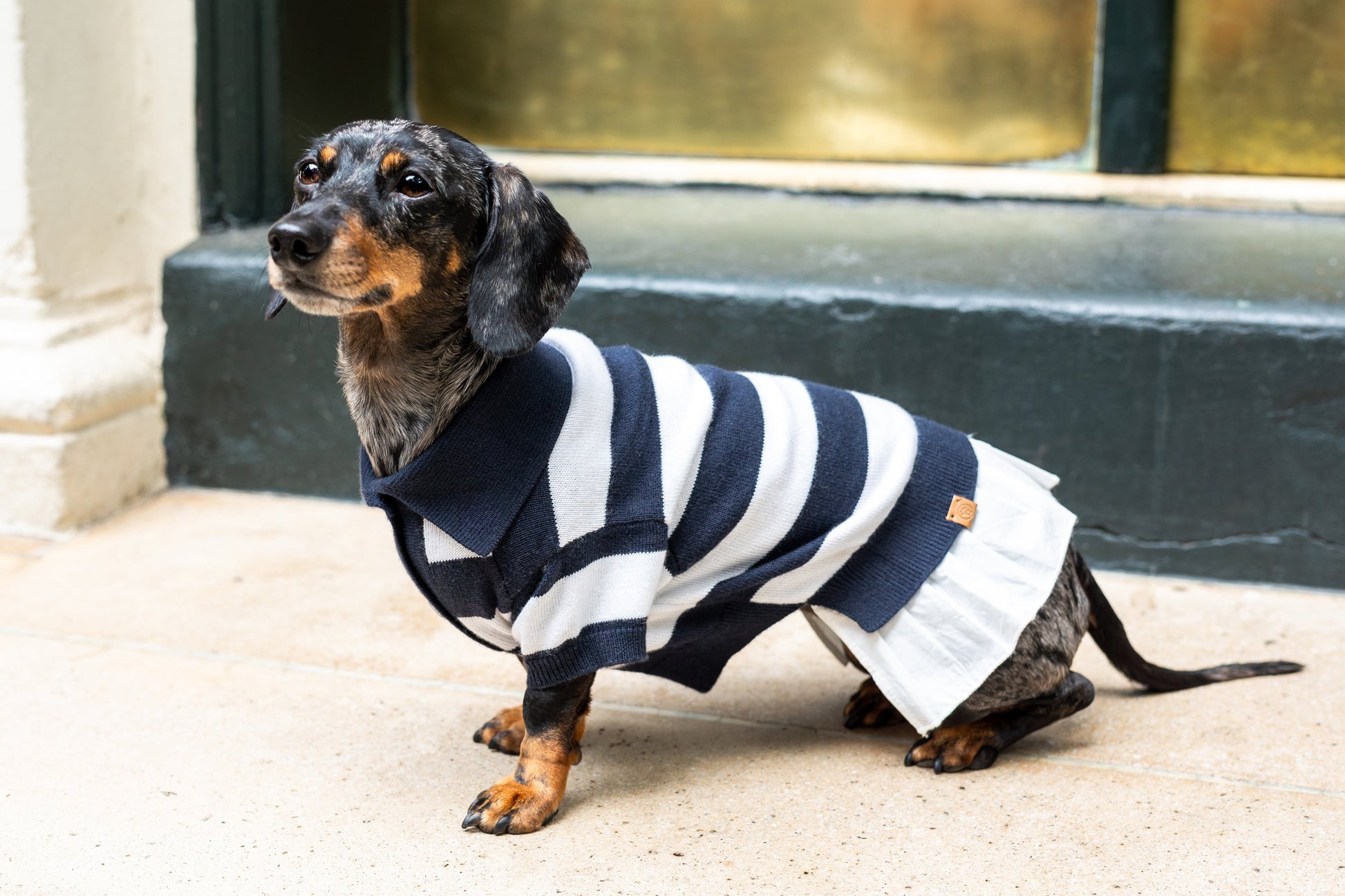 ‘Gladys’ Cashmere blend Polo Dress Sweater BESPOKE PAWS
