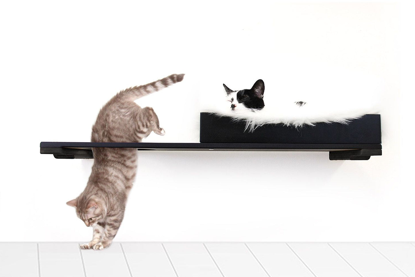 The Cat Nest Bed Onyx Bamboo Cream Plush 34" Escape Hatch Cat shelves/bed Catastrophic Creations