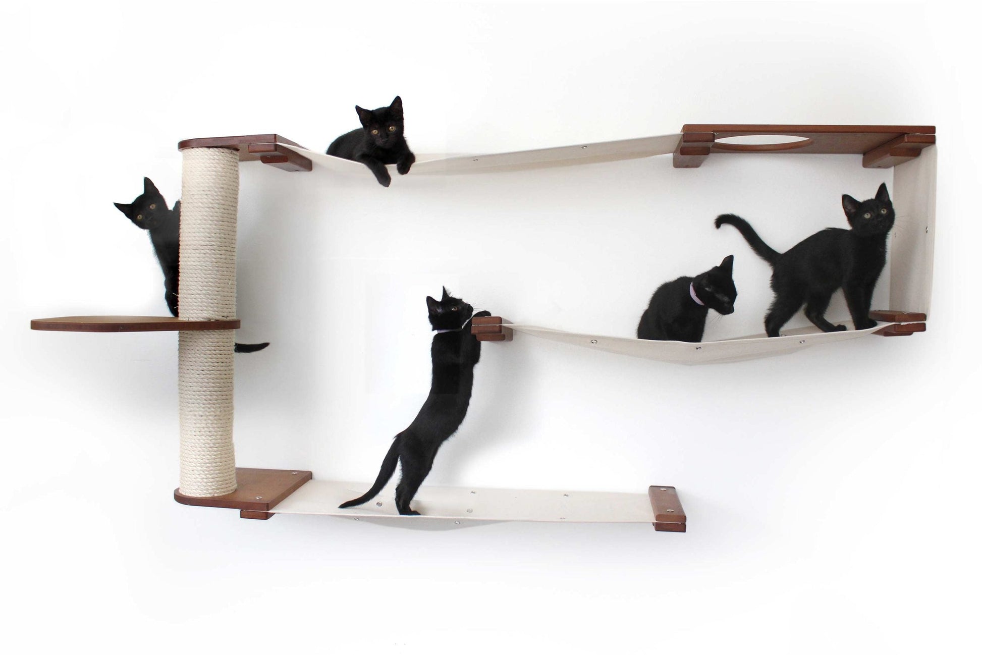 Cat Maze Wall - 3 Tier Cat Tree Cat Condo Catastrophic Creations