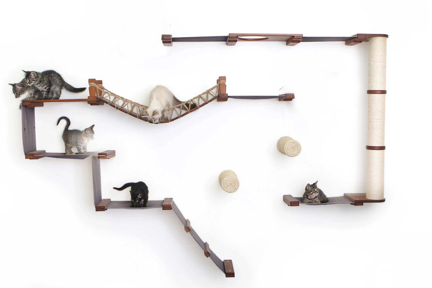 The Juggernaut - Indoor Cat Playground for Wall Cat Condo Catastrophic Creations