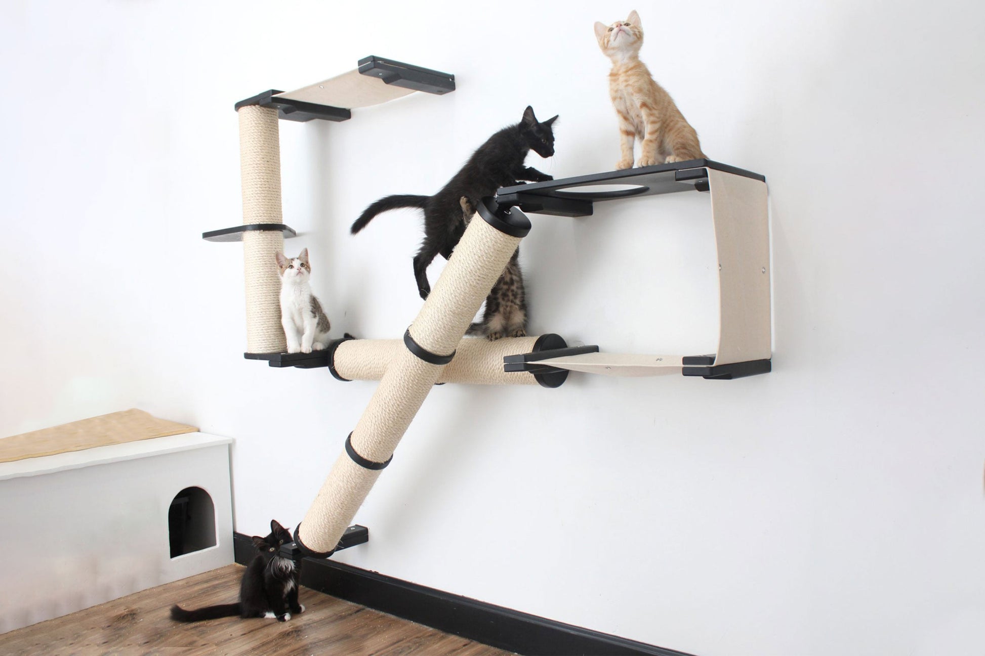 The Crossroads - Cat Wall Scratcher - Tree with Ramp Onyx Bamboo Natural Canvas 16" Cat Condo Catastrophic Creations