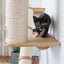The Crossroads - Cat Wall Scratcher - Tree with Ramp Cat Condo Catastrophic Creations