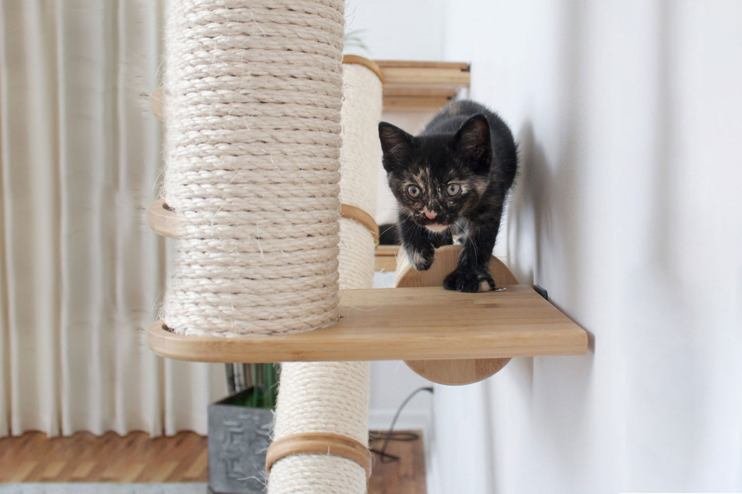 The Crossroads - Cat Wall Scratcher - Tree with Ramp Cat Condo Catastrophic Creations