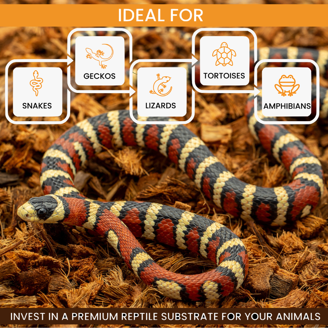 RediChip Premium Medium Sized Coconut Chips; Ready to Use Substrate ReptiChip LLC