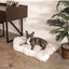PupRug by Paw.com® Faux Fur Orthopedic Dog Bed - Curve White with Brown Accents Dog Beds Paw.com