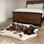 PupRug® Animal Print Memory Foam Dog Bed - Brown Faux Cowhide Dog Beds Paw.com