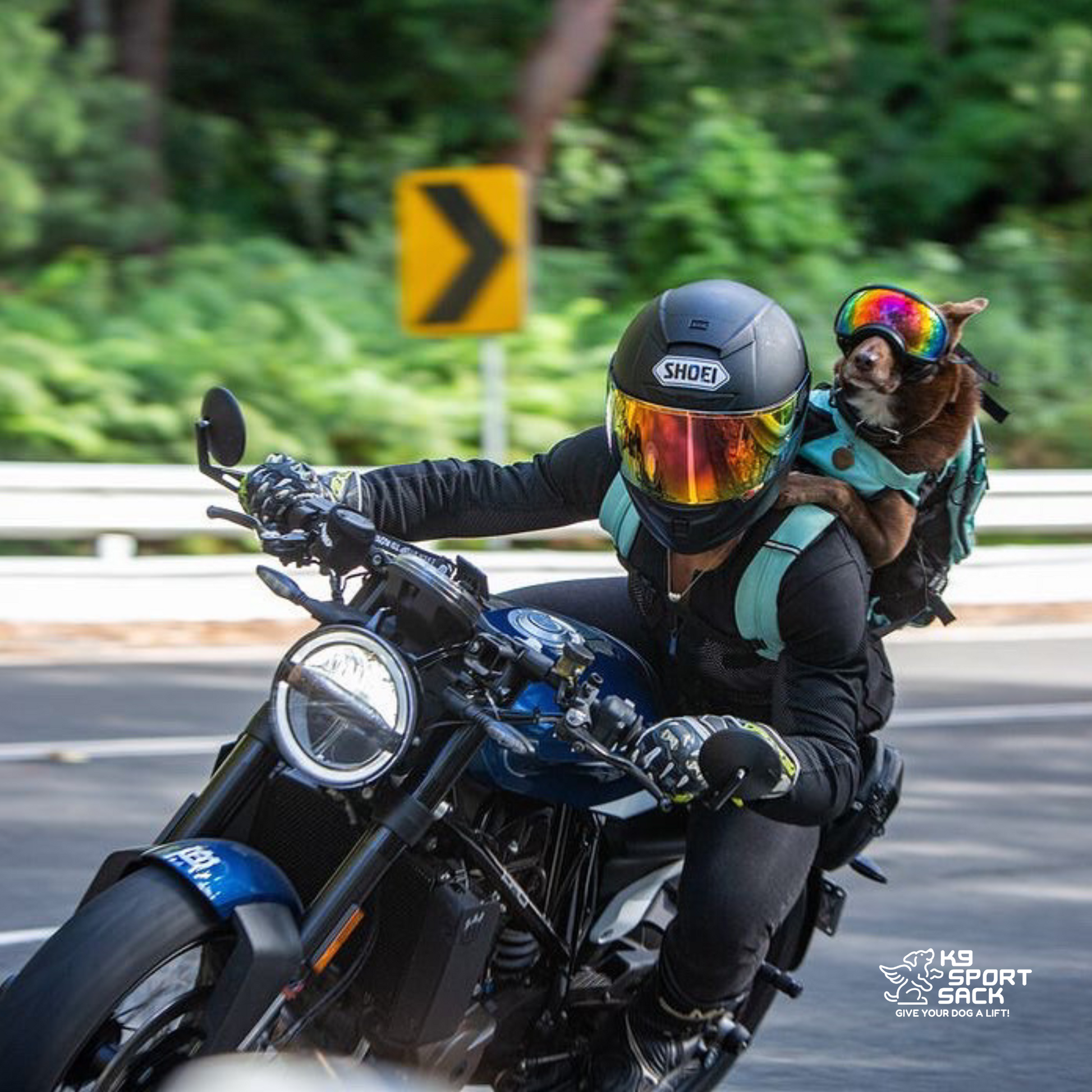 Plus 2 | Dog Carrier with Removable Storage Carriers K9 Sport Sack