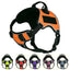 Dogline Quest Multi-Purpose No Pull Dog Harness Dog Harnesses Dogline
