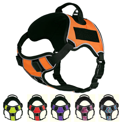 Dogline Quest Multi-Purpose No Pull Dog Harness Dog Harnesses Dogline