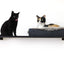 The Cat Nest Bed Onyx Bamboo Gray Plush 34" Solid Shelf Cat shelves/bed Catastrophic Creations
