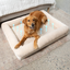 PupChill™ Cooling 4-Bolster Dog Bed - Arctic Sand Dog Beds Paw.com