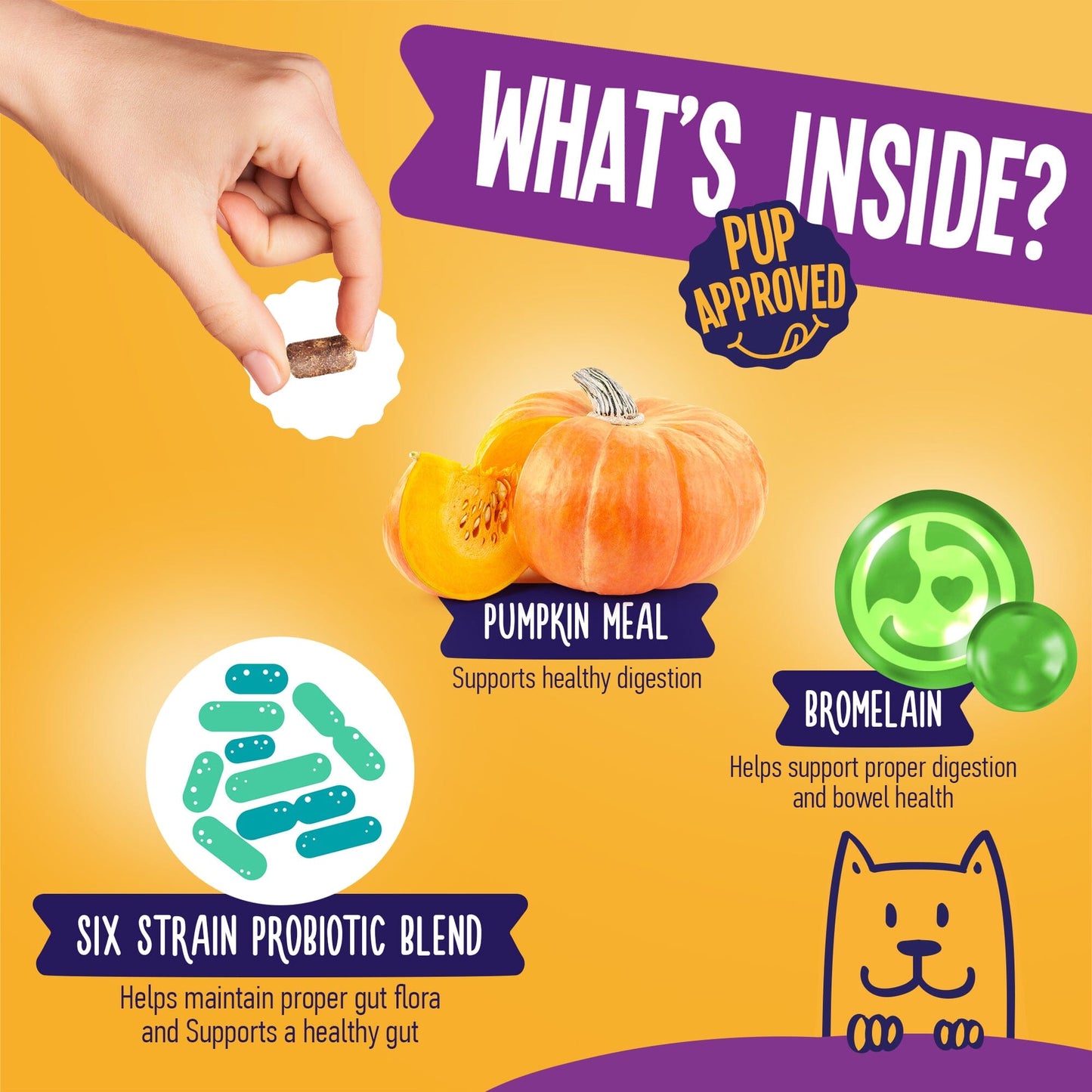 No Poo Poop Eating Deterrent With Probiotics For Dogs 9oz Jar (120 count) Dog Soft Chews Dogline