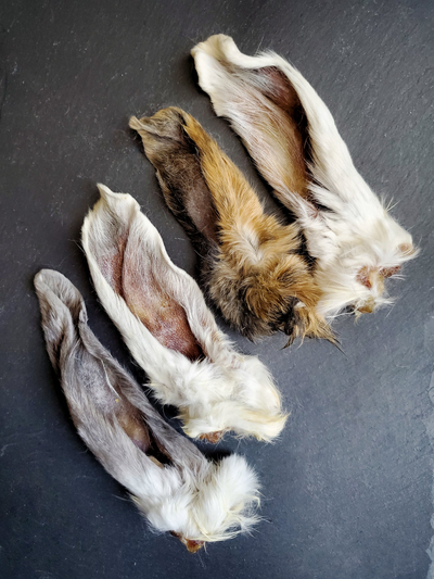 Rabbit Ear by Naked Beasts, Inc Rabbit Naked Beasts