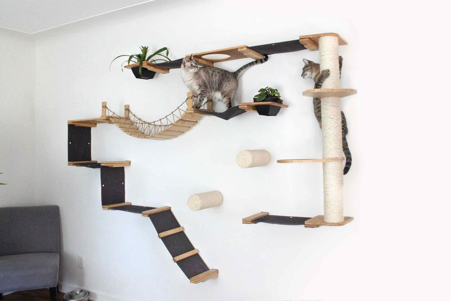 The Juggernaut - Indoor Cat Playground for Wall Natural Bamboo Charcoal Gray Canvas Planter Shelves Cat Condo Catastrophic Creations