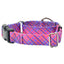 Neon Sunrise Pink Plaid Buckle Martingale Dog Collar – EarthStyle 1 inch 2 Hounds Design