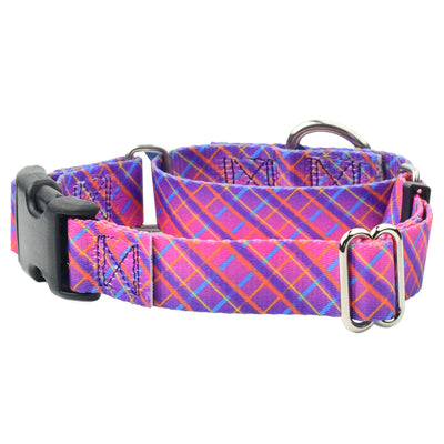 Neon Sunrise Pink Plaid Buckle Martingale Dog Collar – EarthStyle 1 inch 2 Hounds Design