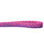 Neon Sunrise Pink Plaid Dog Leash – EarthStyle 2 Hounds Design