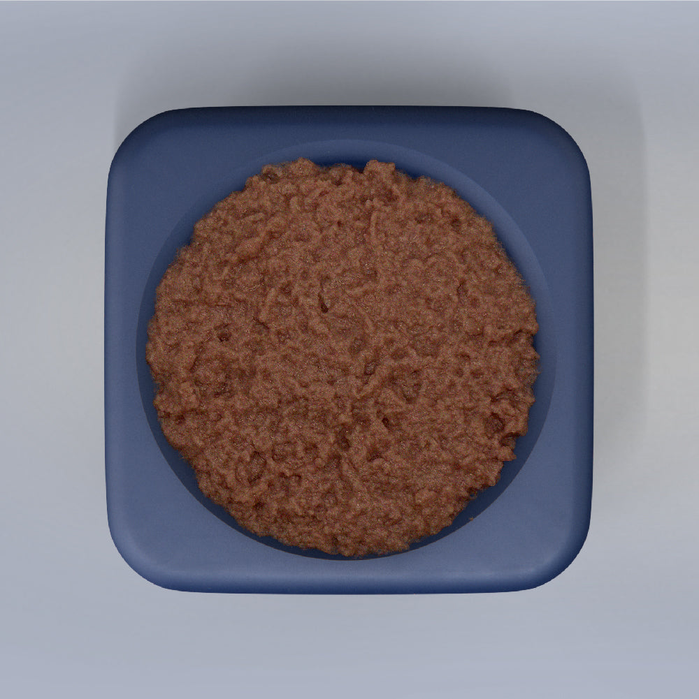 Freezbox - Super Tough Treat Toy Freezbone