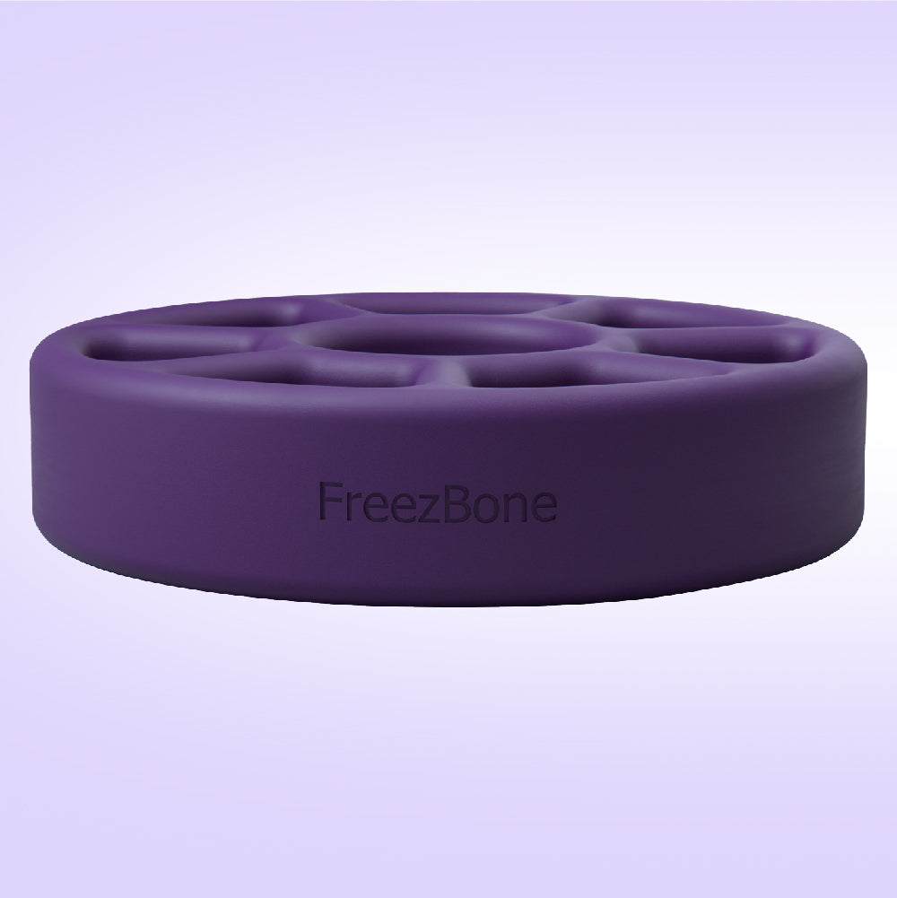 FreezWheel - Durable Interactive Chew Freezbone