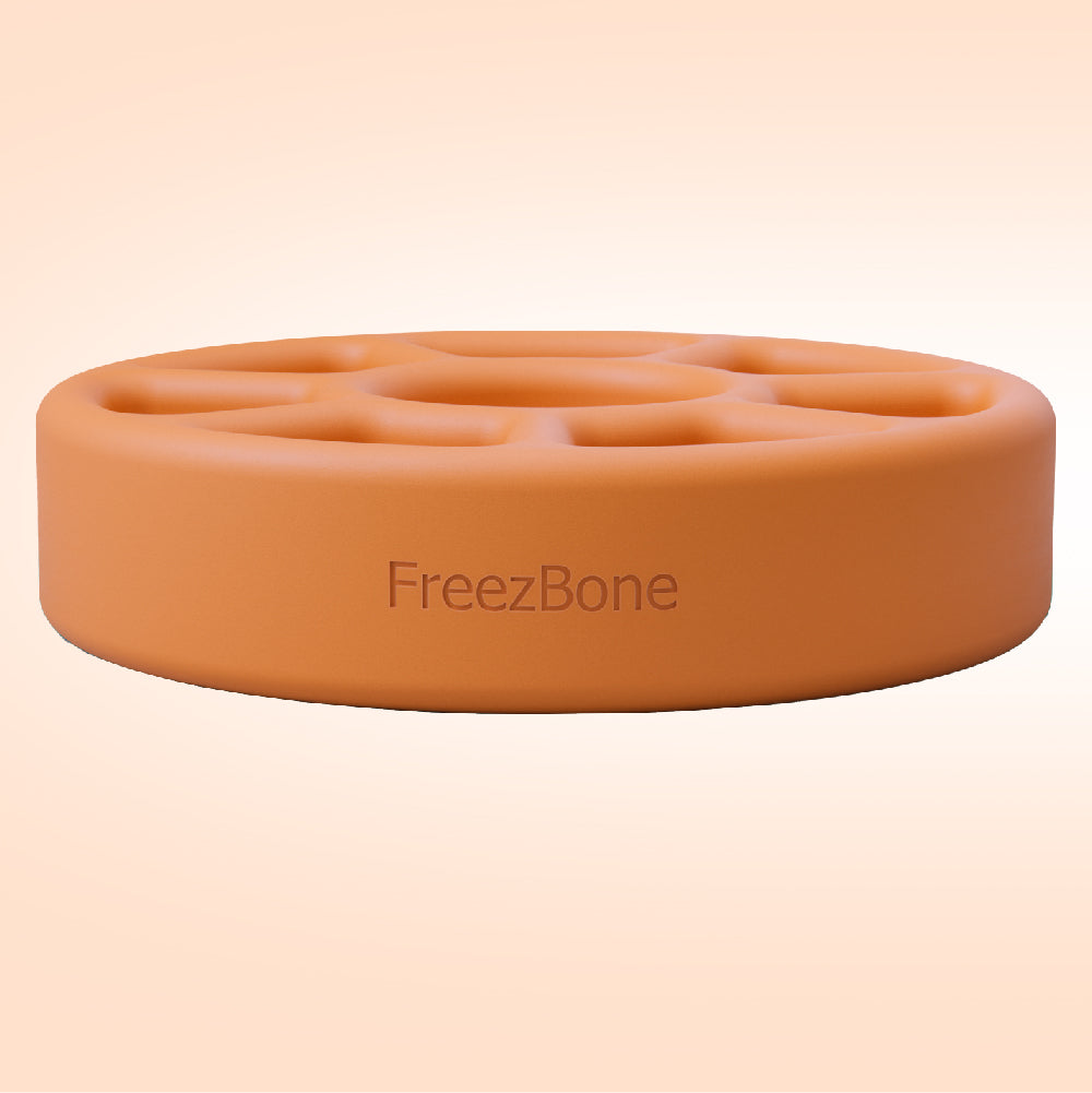 FreezWheel - Durable Interactive Chew Freezbone