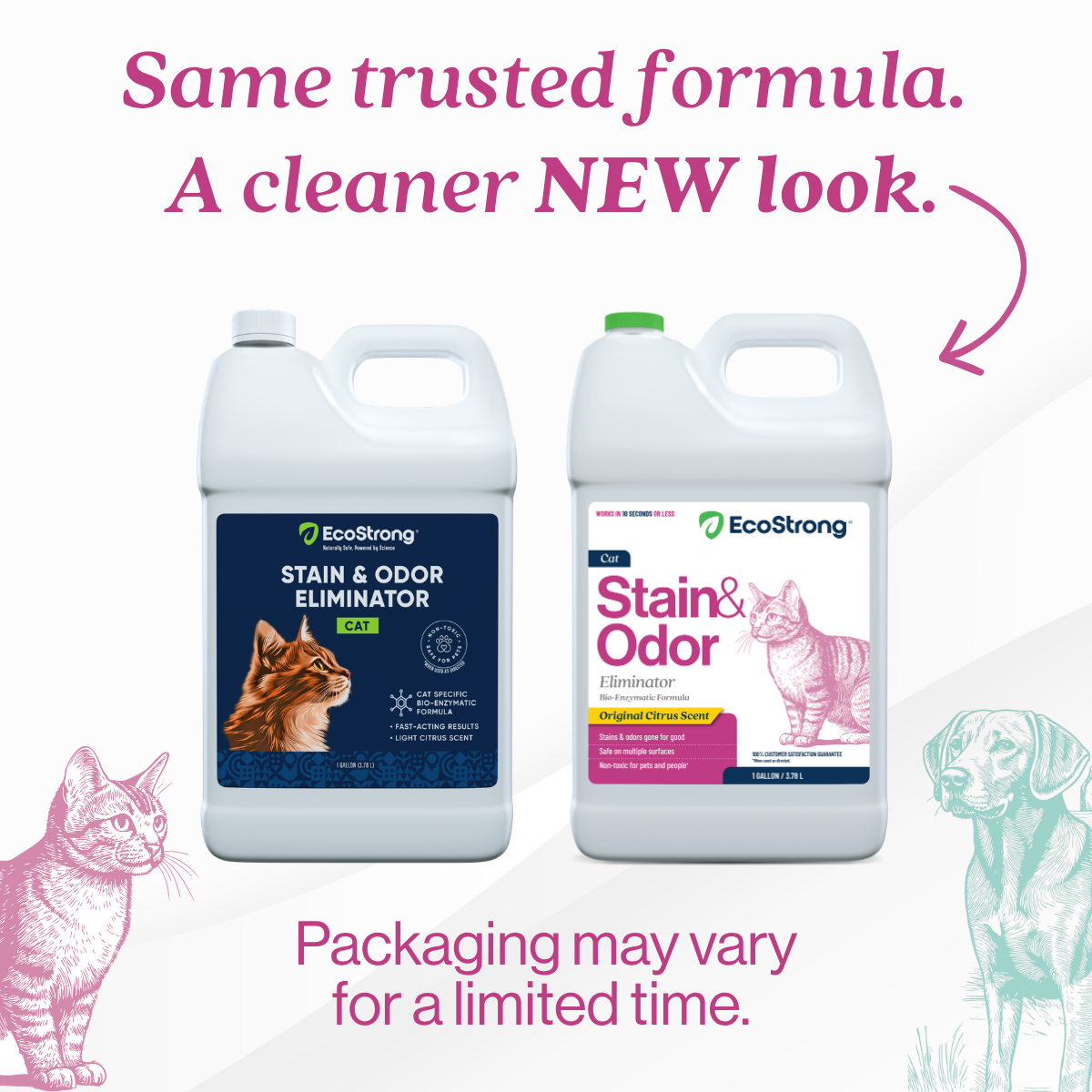 Cat Stain and Odor Eliminator Pet & Animal > Cat Stain & Odor EcoStrong