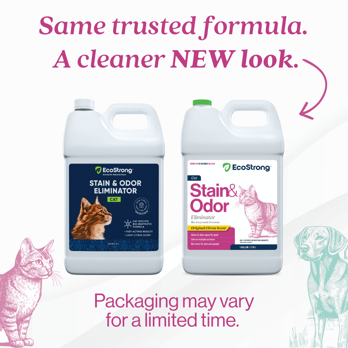 Cat Stain and Odor Eliminator Pet & Animal > Cat Stain & Odor EcoStrong