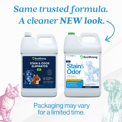 Pet Stain and Odor Eliminator Pet & Animal > Pet Stain & Odor EcoStrong