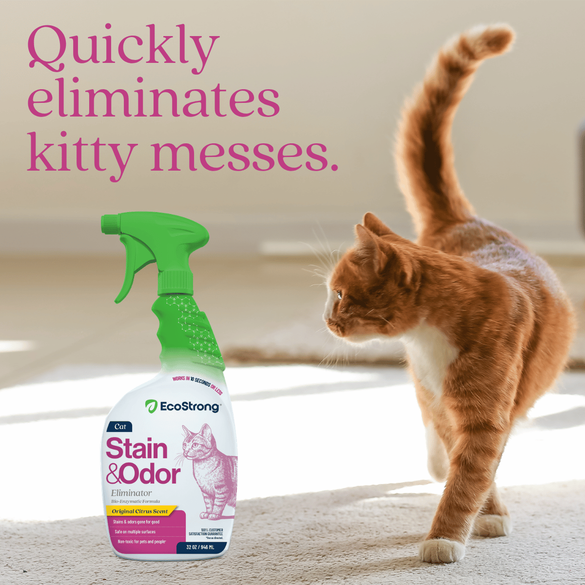 Cat Stain and Odor Eliminator Pet & Animal > Cat Stain & Odor EcoStrong