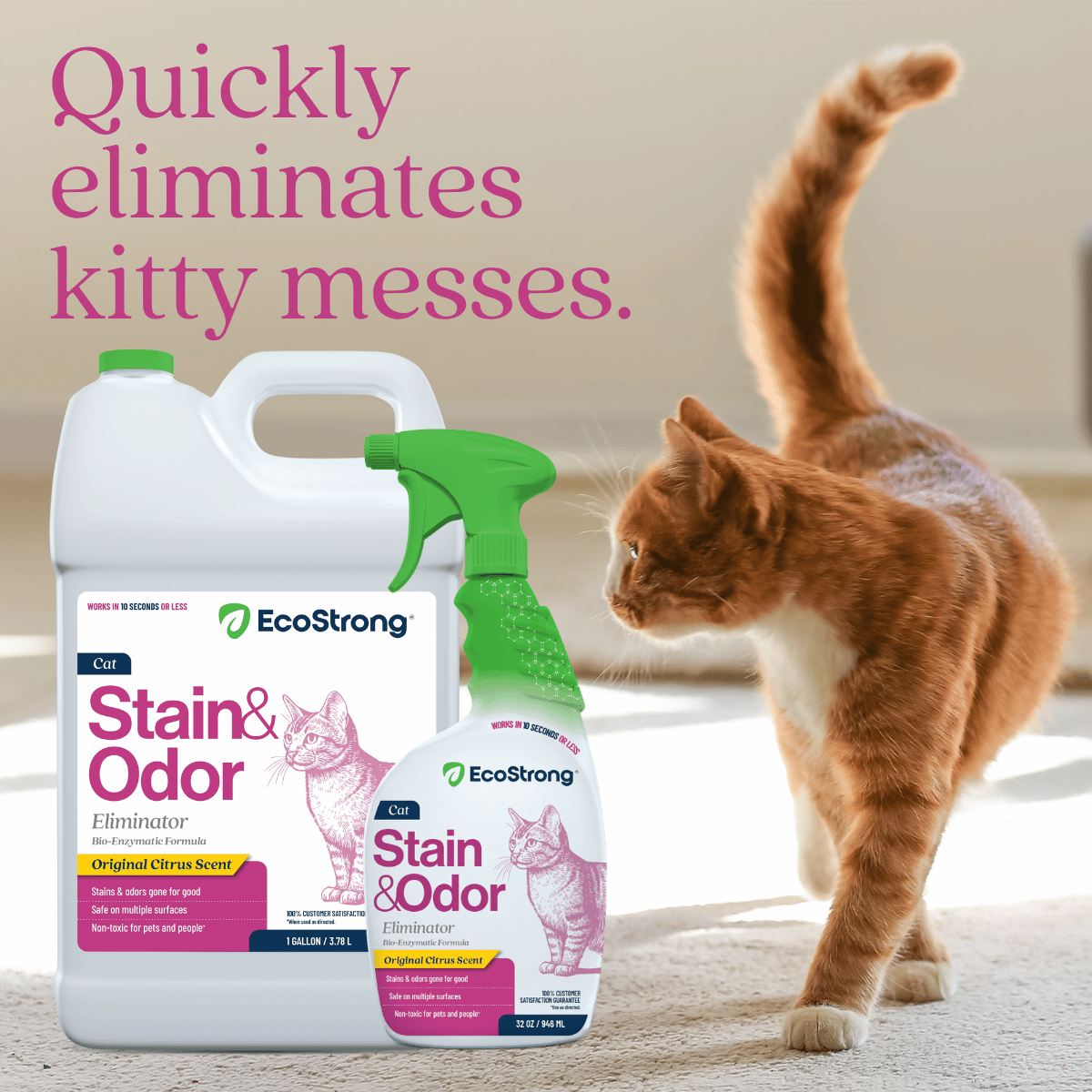 Cat Stain and Odor Eliminator Pet & Animal > Cat Stain & Odor EcoStrong