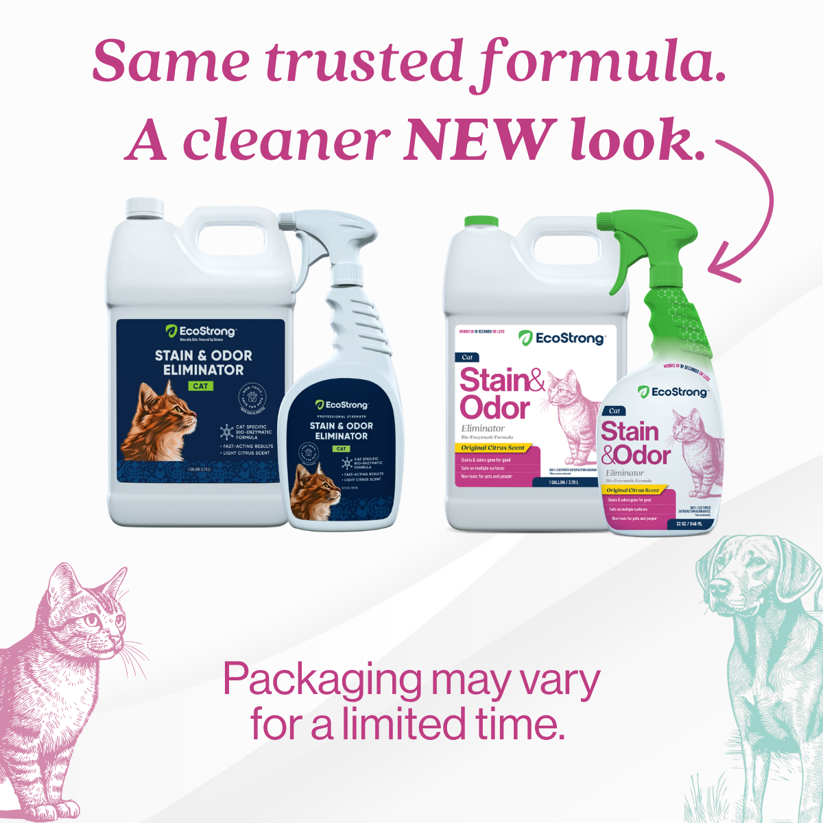 Cat Stain and Odor Eliminator Pet & Animal > Cat Stain & Odor EcoStrong