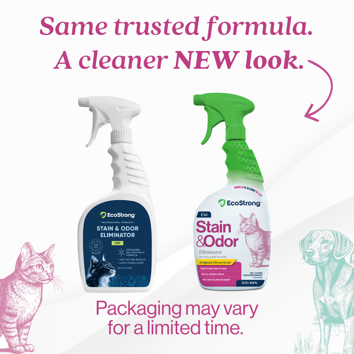 Cat Stain and Odor Eliminator Pet & Animal > Cat Stain & Odor EcoStrong