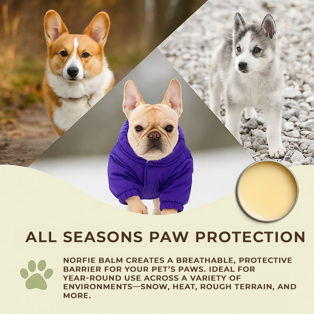 Norfie Repairing Balm – Natural Healing Balm for Paws, Noses & Elbows dog balm Norfie