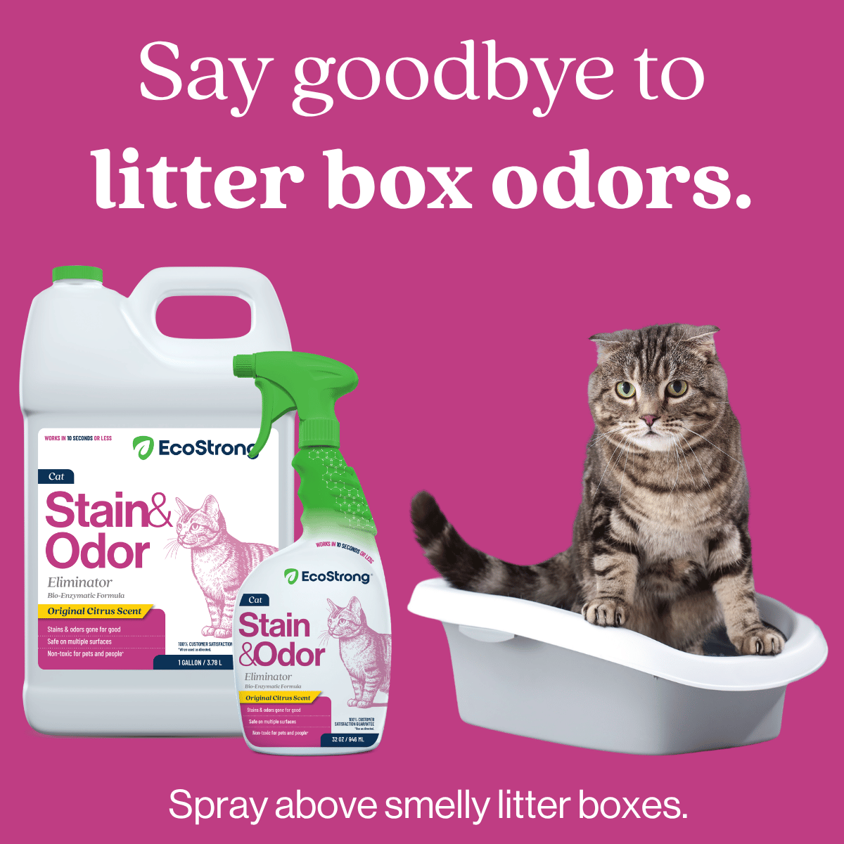 Cat Stain and Odor Eliminator Pet & Animal > Cat Stain & Odor EcoStrong