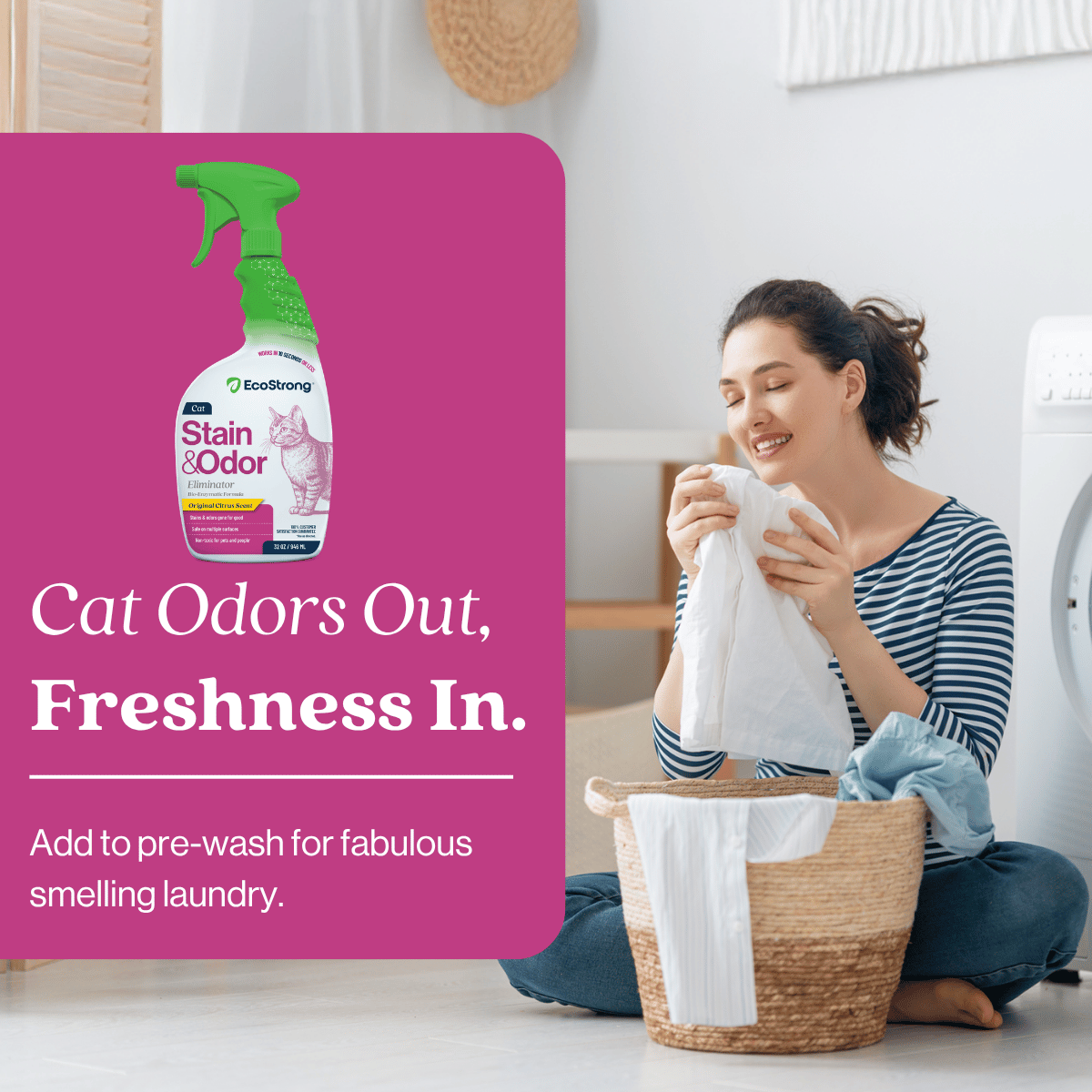 Cat Stain and Odor Eliminator Pet & Animal > Cat Stain & Odor EcoStrong