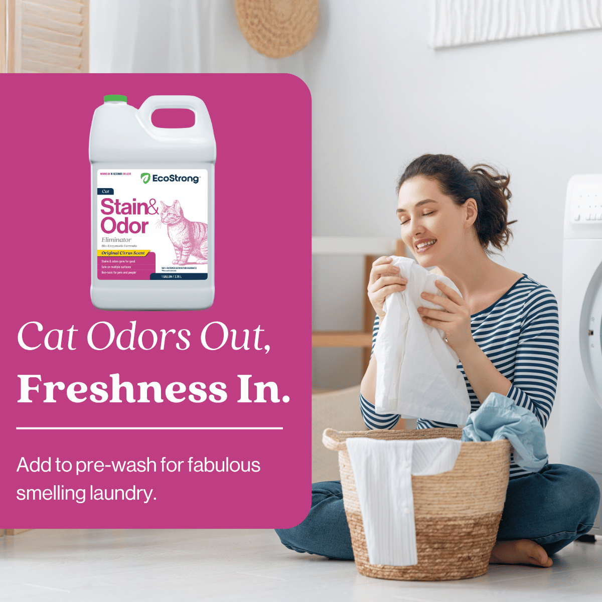 Cat Stain and Odor Eliminator Pet & Animal > Cat Stain & Odor EcoStrong